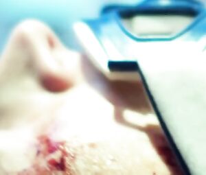 Violetta Schurawlow, Stephani Burkhard Nude - Die Holle - Inferno (2017)