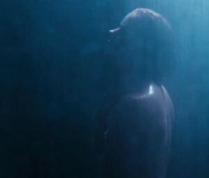Amy Adams, Isla Fisher, Ellie Bamber Nude - Nocturnal Creatures (2016)