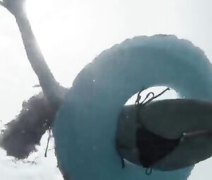 Willa Holland Sexy - Blood In The Water (2016)