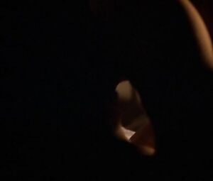 Salma Hayek Nude - Ask the Dust (2006)