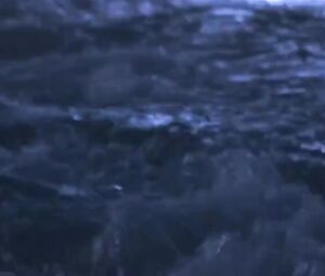 Salma Hayek Nude - Ask the Dust (2006)