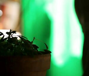 Barbara Drouinaud, Natacha Haegel Nude - Cinq Femmes (2012)