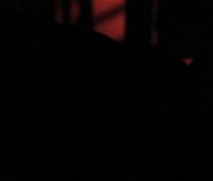 Emma Sjoberg Nude - Simon Sez (1999)