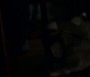 Kristine Kohlmetz Nude - Mรฆlk (2012)