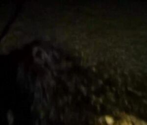 Claudia Rojas playing the park in Lazaro's Girlfriend (2002)