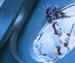 Dichen Lachman Nude - Altered Carbon s01e08 (2018)