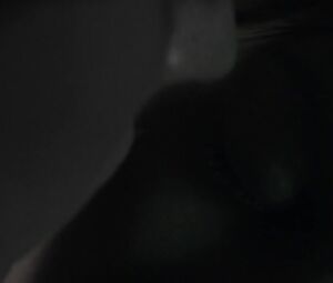 Charlotte Vega Nude - The Lodgers (2017)