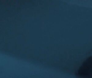 Charlotte Vega Nude - The Lodgers (2017)