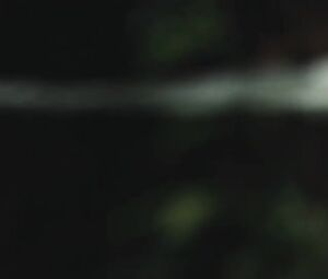 Hwang Geum-hee, Lee Joo-hee Nude - Couple In The Forest (2017)