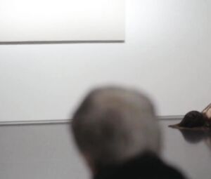 Bobbi Jene Smith Nude - Bobbi Jene (2017)