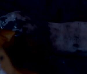 Juliette Pi Nude - Margaux (2017)