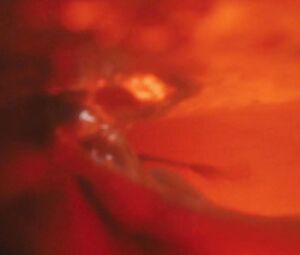 Imogen Poots naked - Mobile Homes (2017)