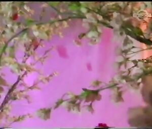 Softcore Video - Breanne Banks and Charisma Cole - Beautiful girls (2004)