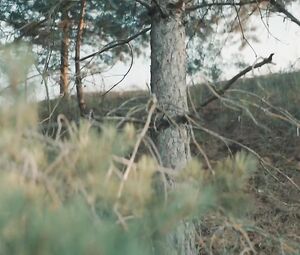 Aglaya Tarasova Nude - Tanki (2018)