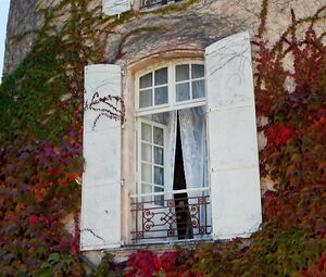 Holliday Grainger Nude - Patrick Melrose s01e02 (2018, SEX)