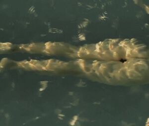 Leticia León Nude - Molinas Borealis (2013, SEX)