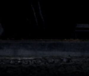 Bella Thorne sexy - Midnight Sun (2018)