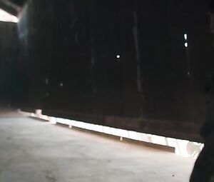 Suki Waterhouse naked - Future World (2018)