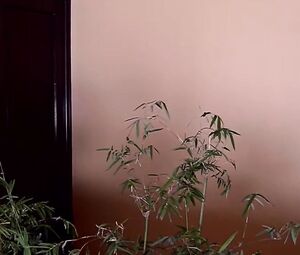 Melanie Patrikot sex naked โ Eden Hotel (2015)