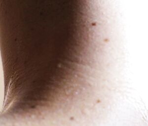 HeatWave - New sexual trailer - FIRST porno ever. (2018)