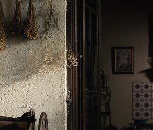 The Duke of Burgundy -Short Lesby Scene
