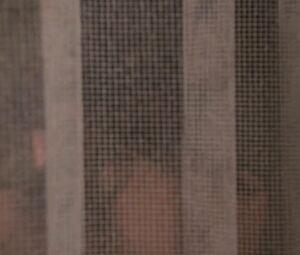 The Unbearable Lightness of Being