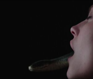 Thelma - Lesbian in Thriller Movies