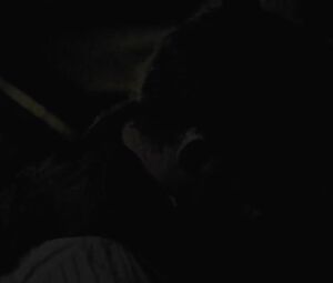 In Darkness Masturbatiion