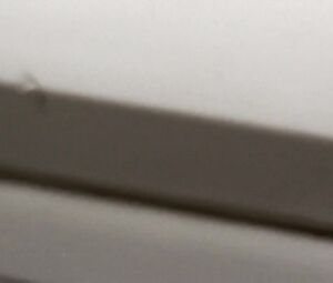 O Som ao Redor - Masturbation Circle