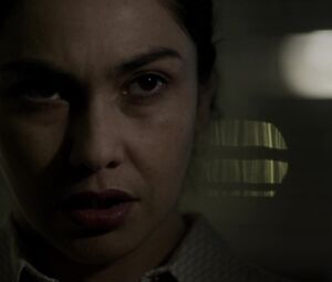 Tamara Acosta nude - The Salamander (2018)