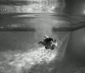 Nina Martinez, Sarah Faire, Ashley Couture, Nana Gouvea naked - Black Wake (2018)