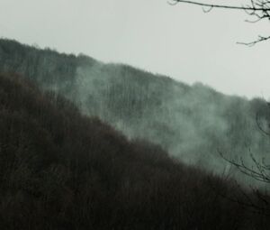 Barbara Lennie, Susi Sanchez nude - Sunday's Illness (2018)