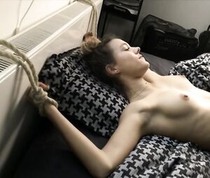 Yasmine Lavoine nude - Kepler(s) s01e03 (2019)