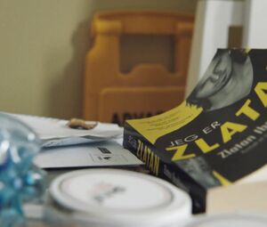 Emilie Nicolas nude - Hvite Gutter s02e01 (2018)