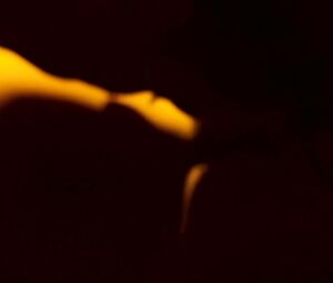 Lisa Carlehed nude - Aminas breve (2017)