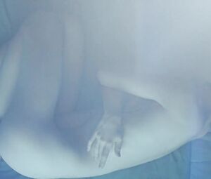 Stoya nude - A.I. Rising (2018)