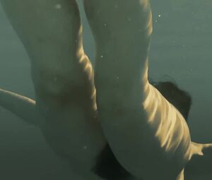 Wattar Sex - Water Sex Scenes and Videos. Best Water Sex movie