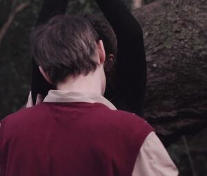 Nicoletta Hanssen, Erin Ownbey nude - Devils Tree, Rooted Evil (2018)