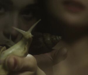 Freya Kreutzkam, Deborah Muriel Blum nude - Mimicry (2017)