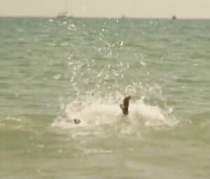 Veronica Sanchez, Irene Arcos nude - El Embarcadero s01e01-08 (2018)