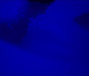 Kirsty Averton nude - The Holly Kane Experiment (2017)