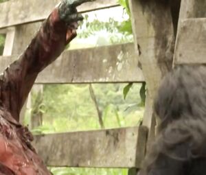 Gisele Ferran, Raissa Vitral nude - Zombio 2 Chimarrao Zombies (2013)