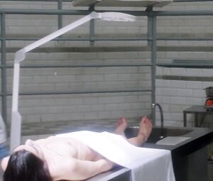 Helene Pequin, Lucie Ryan nude - Insoupconnable s01e01-05 (2018)