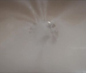 Piercey Dalton nude - The Open House (2018)