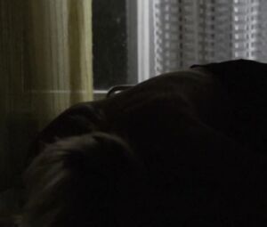 Marilyn Jurman naked - Mina Olin Siin (2008)