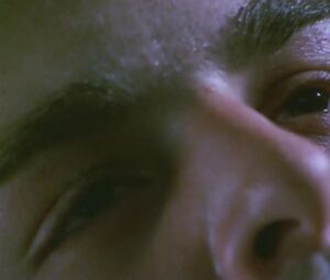 Kari Wuhrer naked - King of the Ants (2003)