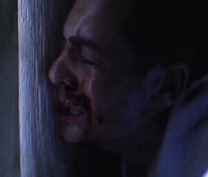 Kari Wuhrer naked - King of the Ants (2003)