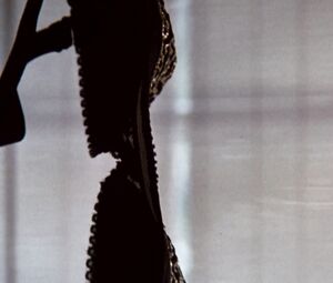 Brenda Bakke, Deborah Driggs, Lisa Saxton nude - Twogether (1994)