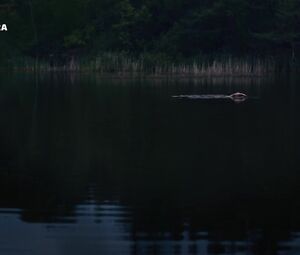 Malou Gorter nude - Oogappels s01e02 (2019)