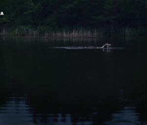 Malou Gorter nude - Oogappels s01e02 (2019)